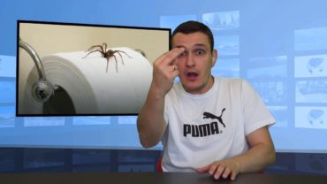 W domu pająki – jak ich się pozbyć?