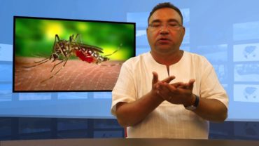 Komary pomogą stworzyć igłę dla dzieci?