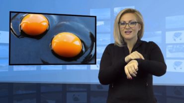 Czerwona plamka w jajku – co to jest?