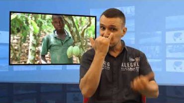 Afryka – plantacje kakao – pracują dzieci