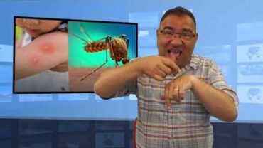 Swędzenie po komarze – co pomaga?