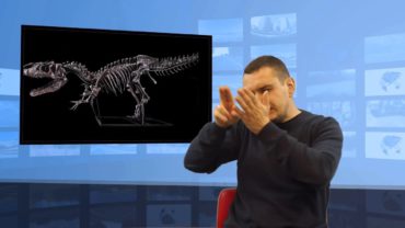 Szkielet dinozaura sprzedany za 3 mln euro