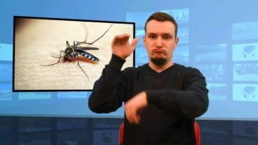 Walka z komarami na Słowacji