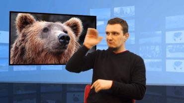 Rumunia – polowanie na niedźwiedzia