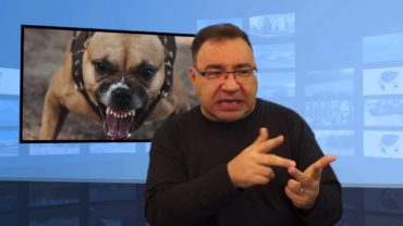 Atak psach – jak się zachować?