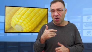 Skutki jedzenia kukurydzy?