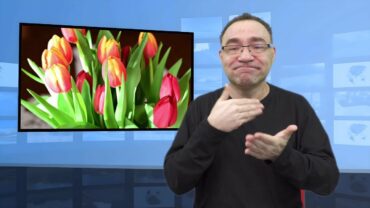 Dodaj do wody – tulipany będą świeże