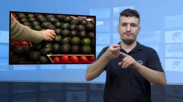 Awokado – czy jest dojrzałe? jak sprawdzić?