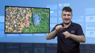 Jesienna pielęgnacja trawnika – zacznij we wrześniu