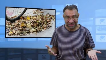 Kto musi sprzątać liście na chodnikach?